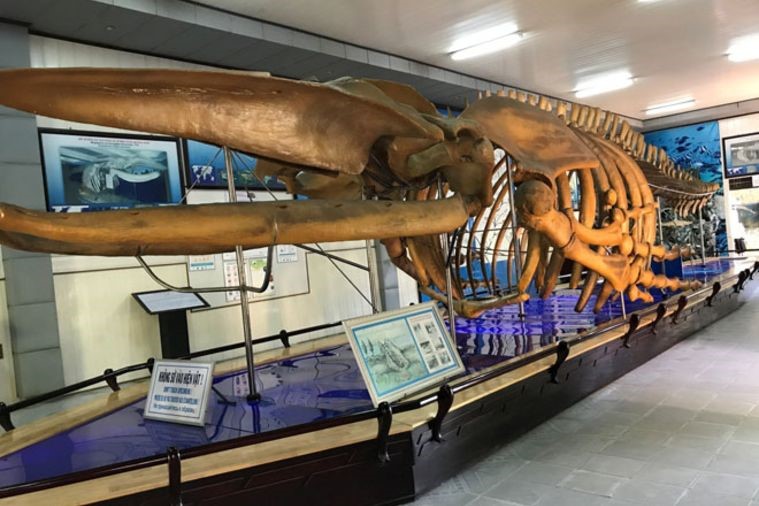 Viện Hải Dương Học - Nha Trang