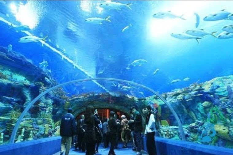 Viện Hải Dương Học - Nha Trang