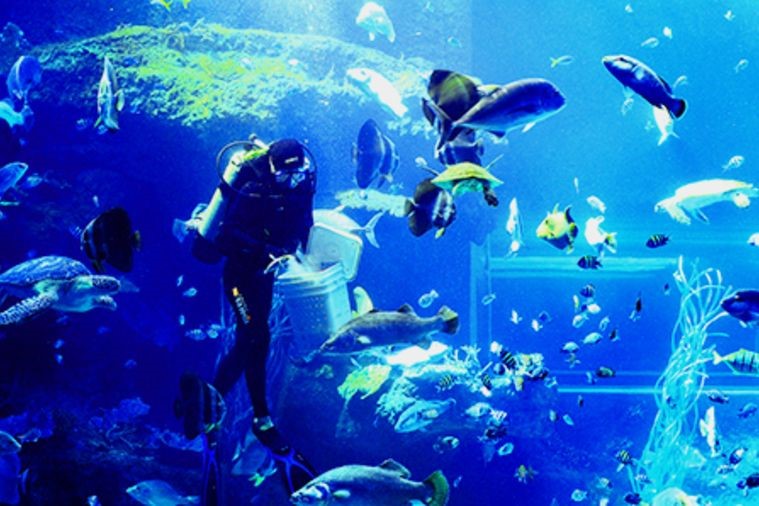 Viện Hải Dương Học - Nha Trang