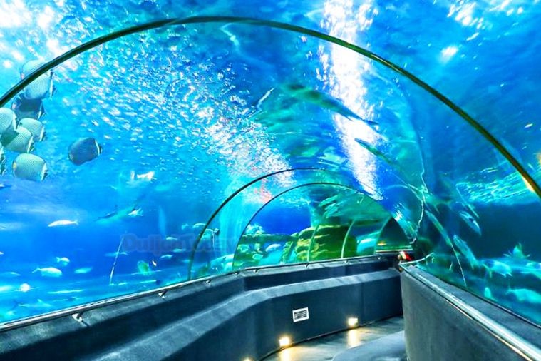 Viện Hải Dương Học - Nha Trang