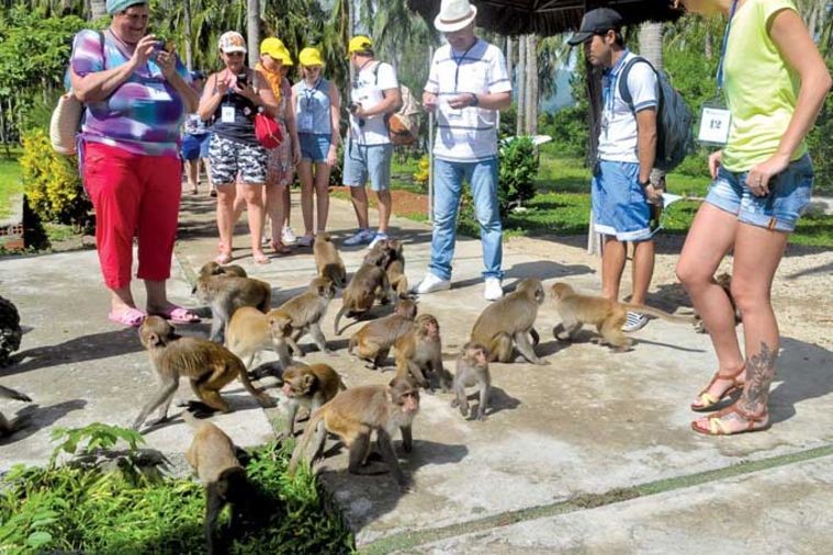 Hòn Lao - Đảo Khỉ - Nha Trang