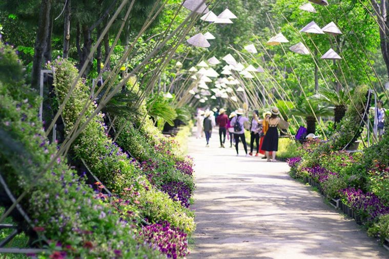 Hòn Lao - Đảo Khỉ - Nha Trang