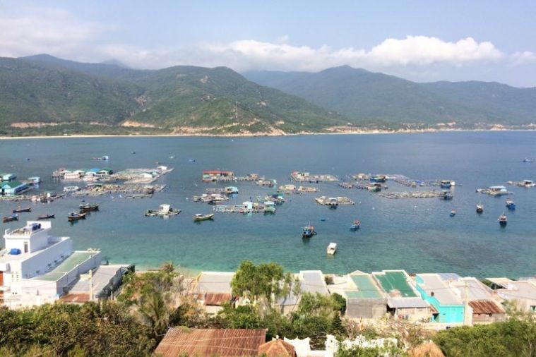 Đảo Bình Hưng - Nha Trang