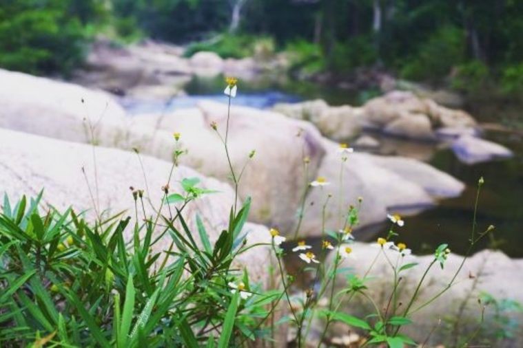 Suối Ba Hồ - Nha Trang 