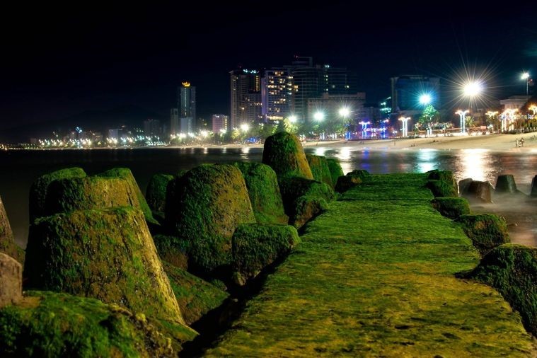Bãi Đá Rêu - Nha Trang