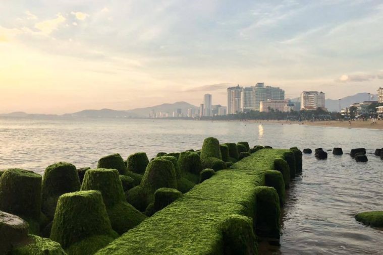 Bãi Đá Rêu - Nha Trang