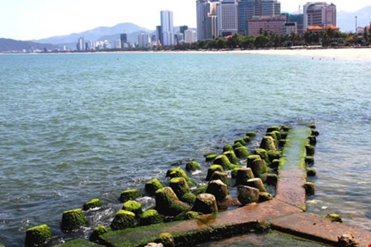 Bãi Đá Rêu - Nha Trang