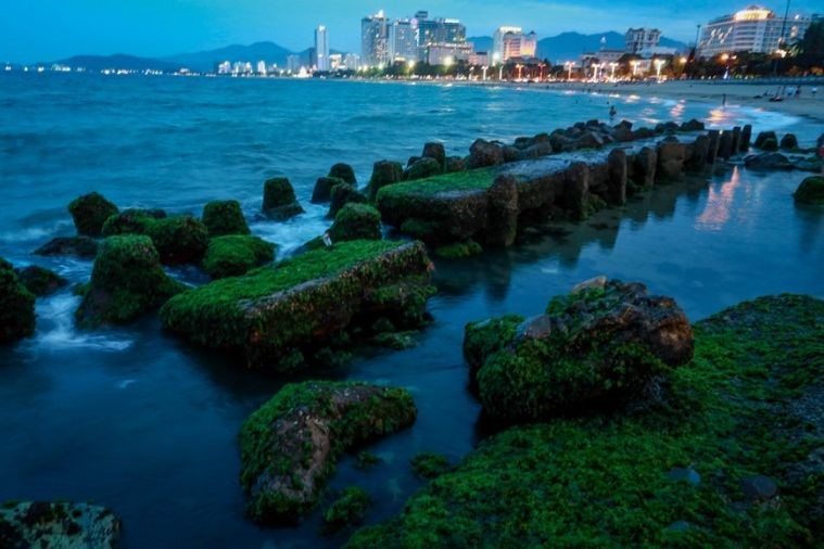 Bãi Đá Rêu - Nha Trang