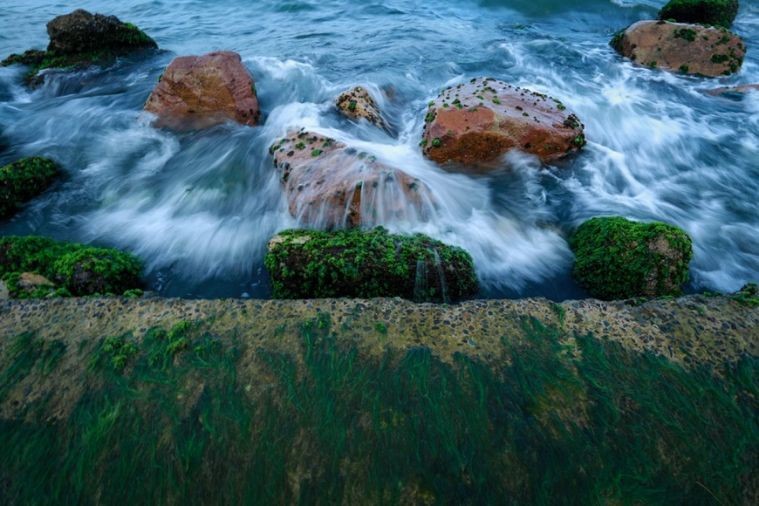 Bãi Đá Rêu - Nha Trang