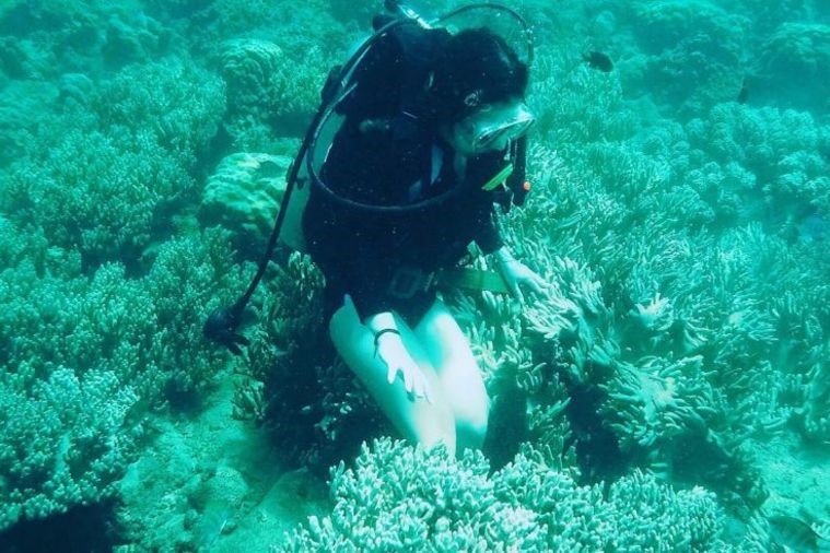 Hòn Mun - Nha Trang