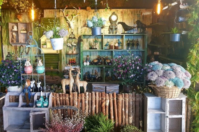 Jungle Coffee - Nha Trang