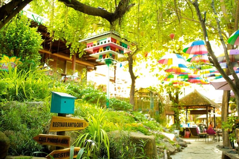 Cafe Hoa Đồng Nội - Nha Trang