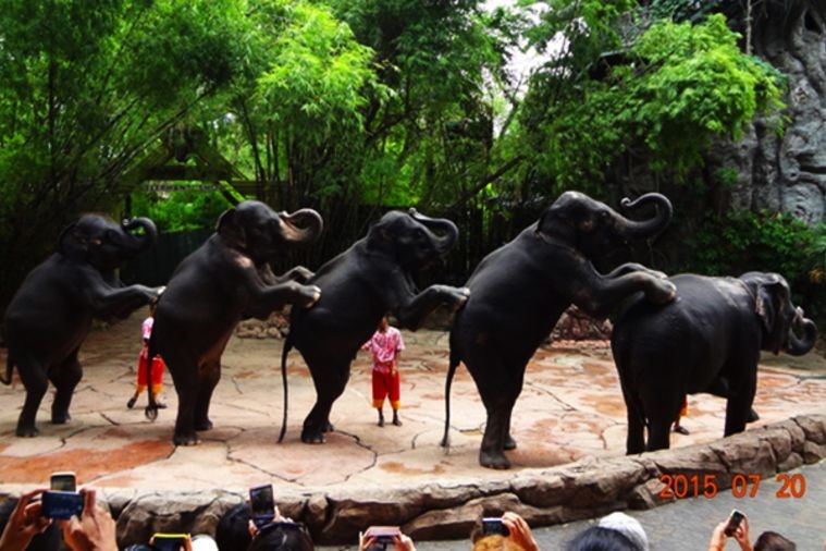 Vinpearl Safari - Phú Quốc