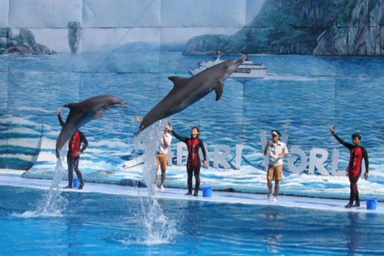 Vinpearl Safari - Phú Quốc