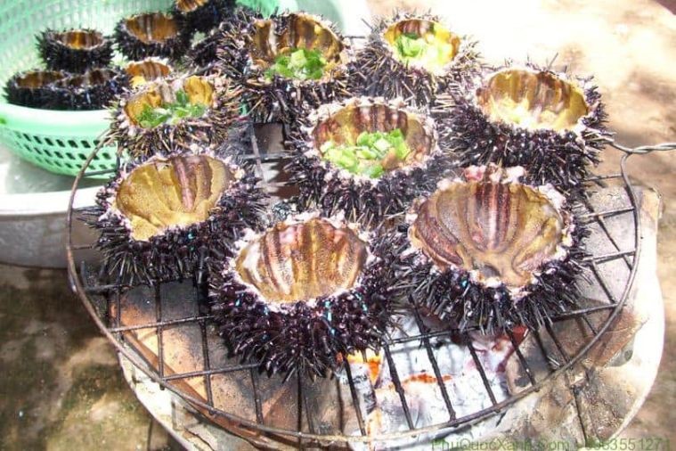 Hòn Mây Rút - Phú Quốc