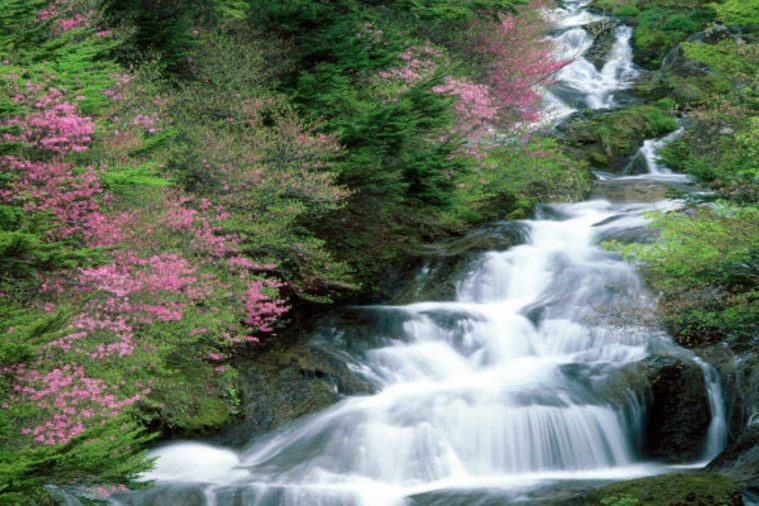 Suối Tranh - Phú Quốc