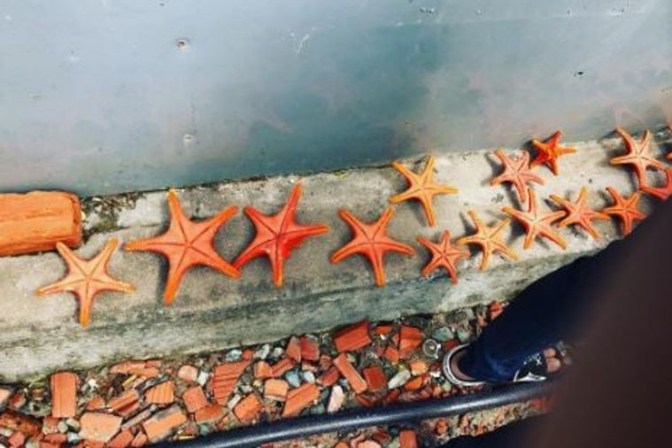 Làng chài Rạch Vẹm - Phú Quốc