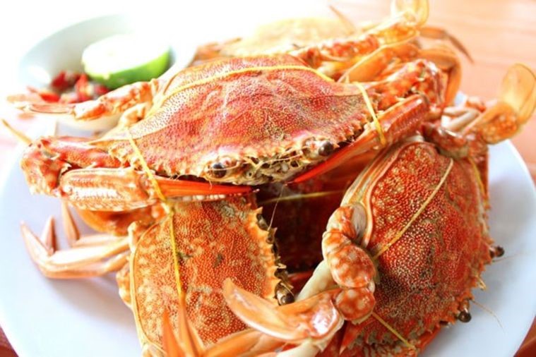 Làng Chài Hàm Ninh - Phú Quốc