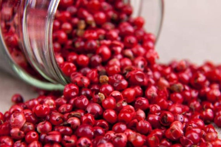 Vườn Hồ Tiêu - Phú Quốc