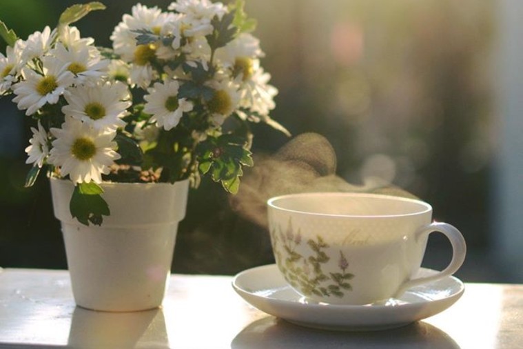 PHD Photo & Coffee - Phú Yên