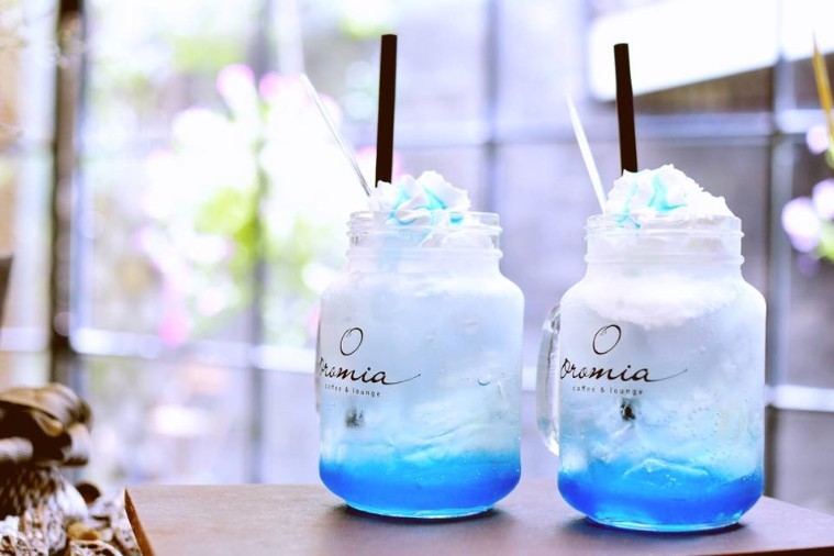 Green Cafe - Phú Yên