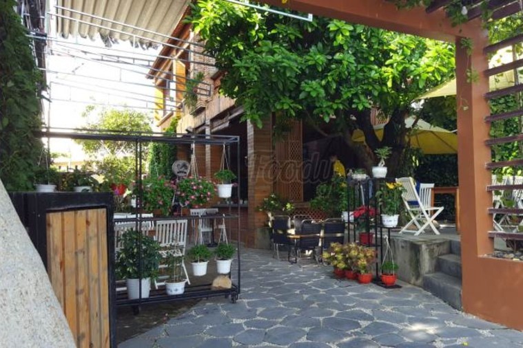 Cà phê Hoa Vàng Cỏ Xanh - Phú Yên