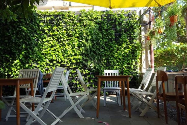 Cà phê Hoa Vàng Cỏ Xanh - Phú Yên