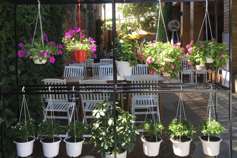 Cà phê Hoa Vàng Cỏ Xanh - Phú Yên