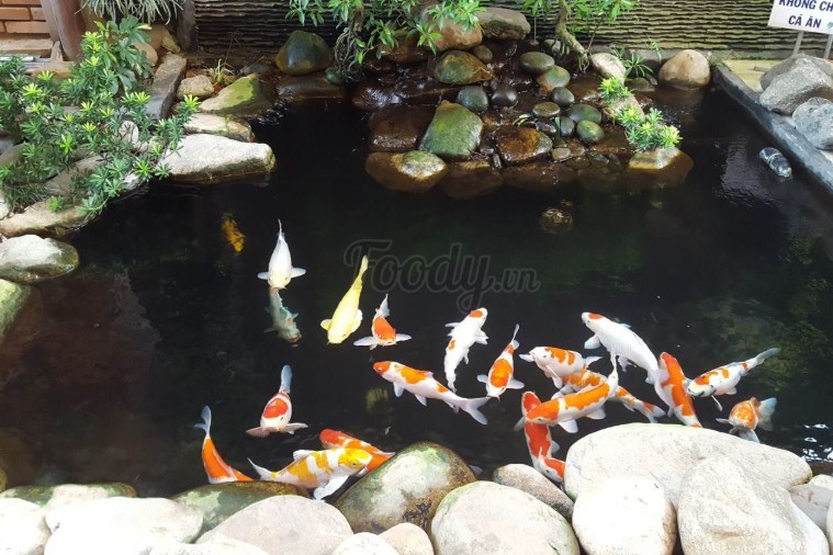 Cà phê Hoa Vàng Cỏ Xanh - Phú Yên