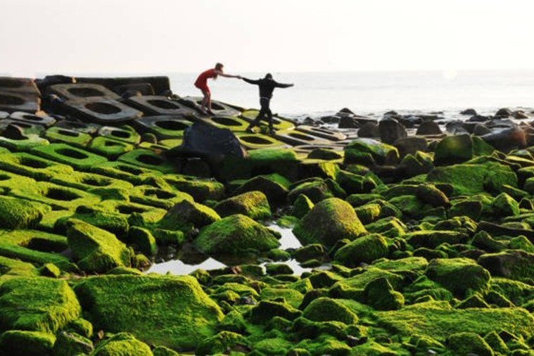 Bãi Rêu Xanh - Xóm Rớ - Phú Yên