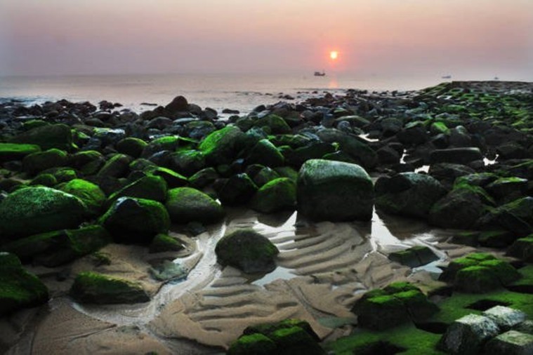 Bãi Rêu Xanh - Xóm Rớ - Phú Yên