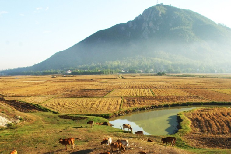Núi Chóp Chài - Phú Yên