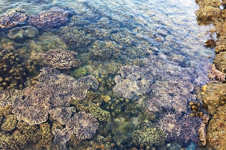 Bãi Xép - Phú Yên