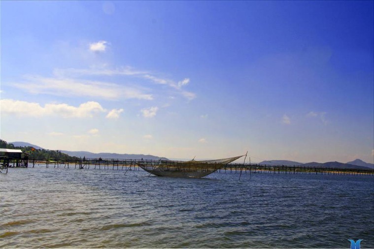 Cầu Gỗ Ông Cọp - Phú Yên