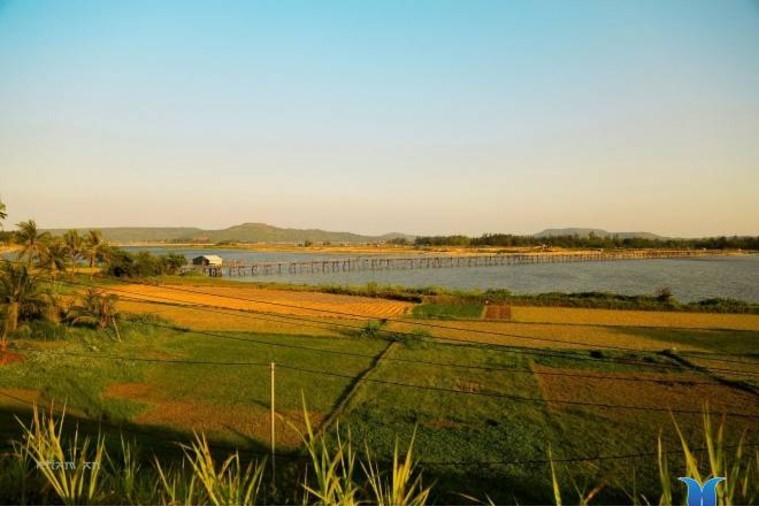 Cầu Gỗ Ông Cọp - Phú Yên