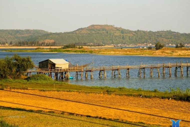 Cầu Gỗ Ông Cọp - Phú Yên