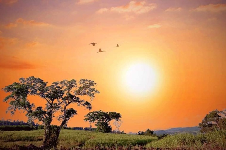 Cao Nguyên Vân Hòa - Phú Yên