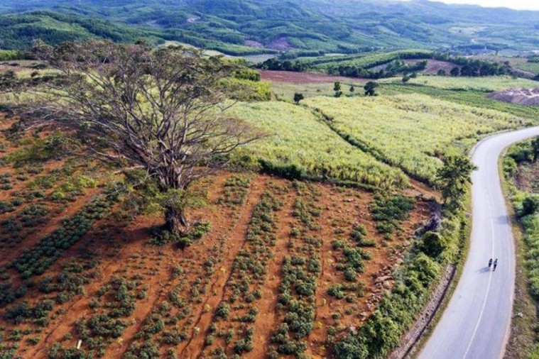 Cao Nguyên Vân Hòa - Phú Yên