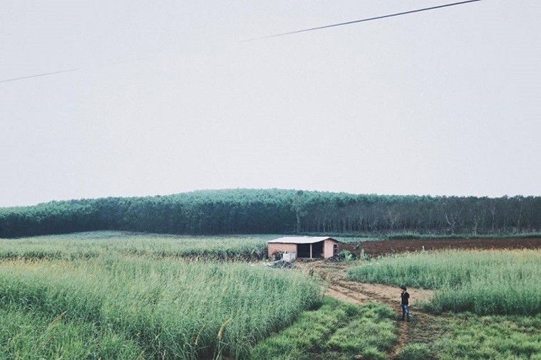 Cao Nguyên Vân Hòa - Phú Yên