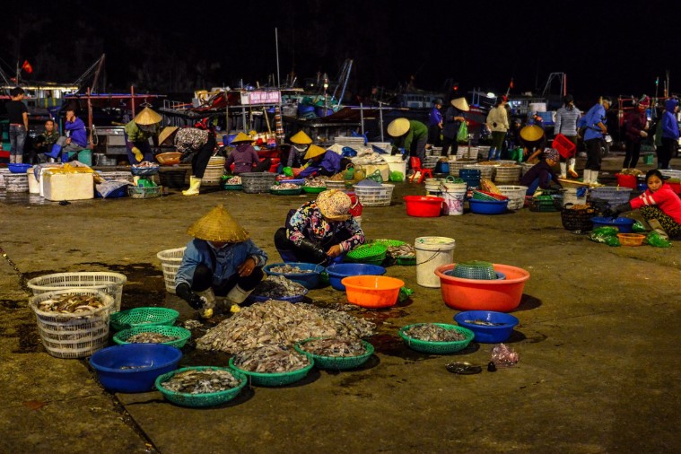 Vịnh Bái Tử Long - Hạ Long