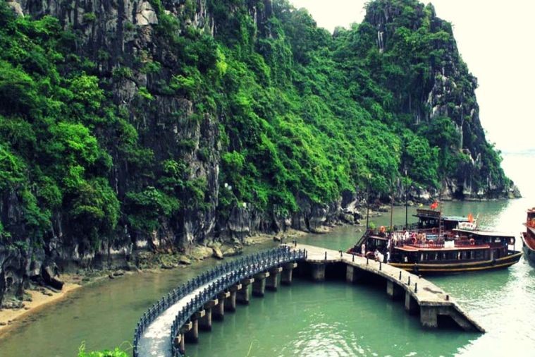 Hang Đầu Gỗ - Hạ Long