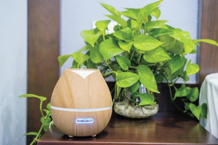 Otoke Chill Coffe & Homestay - Hạ Long