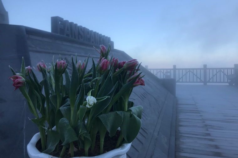 Sunworld Fansipan Legend - Sapa