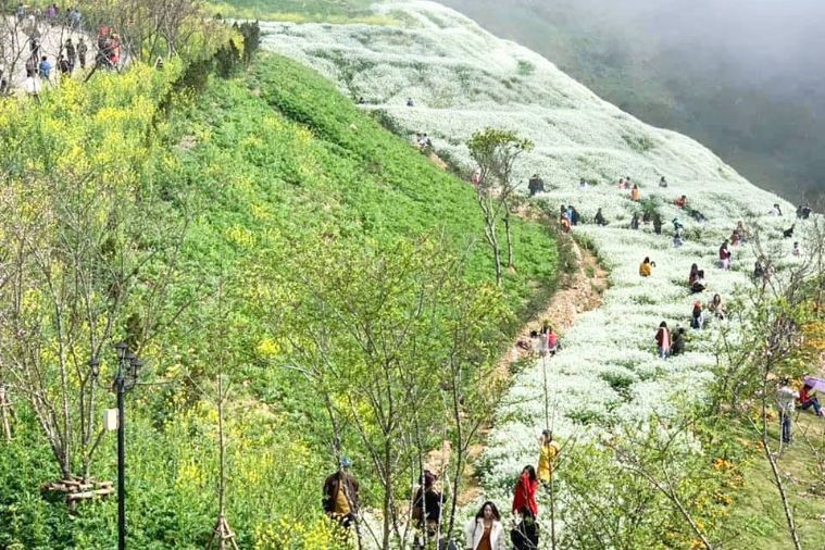 Sunworld Fansipan Legend - Sapa