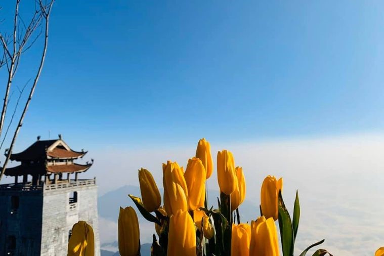 Sunworld Fansipan Legend - Sapa