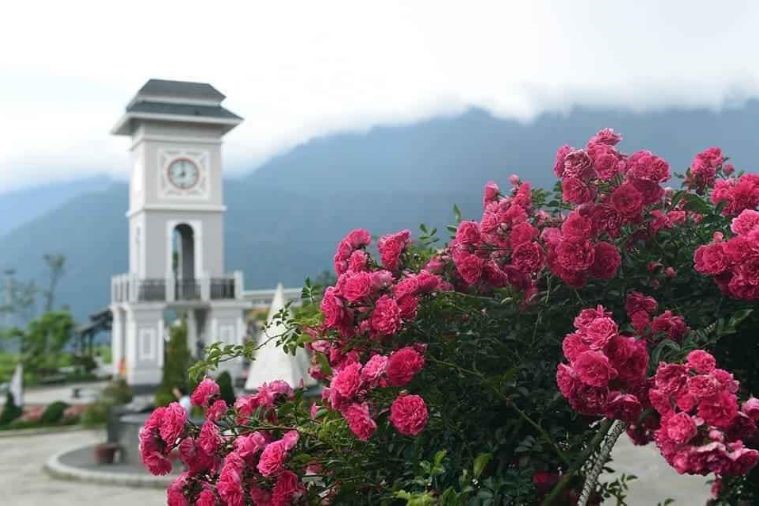 Sunworld Fansipan Legend - Sapa