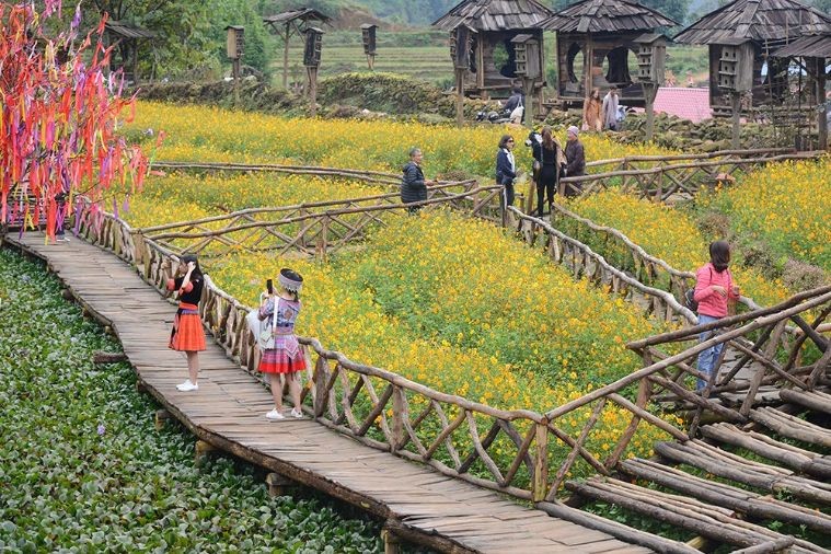 Bản Cát Cát - Sapa