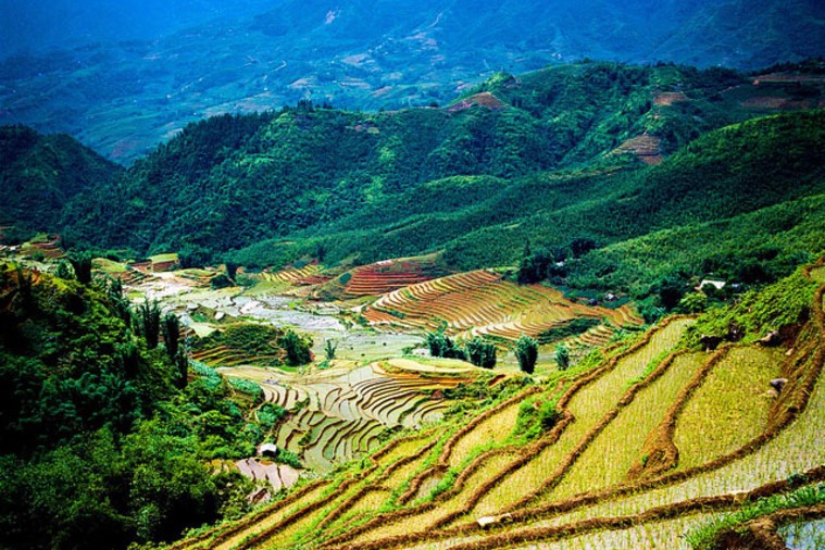 Bản Cát Cát - Sapa