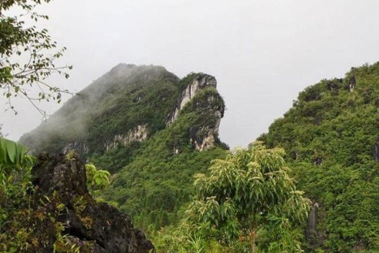 Núi Hàm Rồng - Sapa