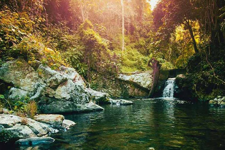 Khu du lịch Thác Bạc - Sapa